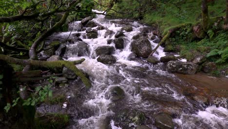 El-Río-Poulanass-Cae-Sobre-Rocas-En-La-Parte-Superior-De-Las-Cataratas-De-Agua-En-El-Parque-Nacional-De-Wicklow,-Irlanda