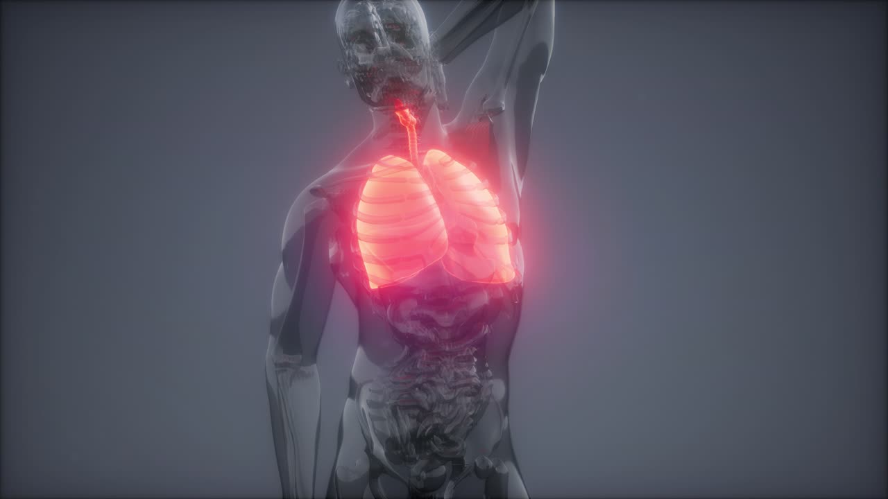 examen radiológico de los pulmones humanos