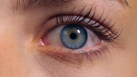 primer plano extremo de los ojos azules de una mujer hermosa mientras se abre con la vista a la cámara con el reflejo de la luz
