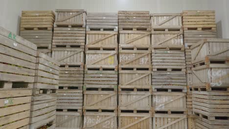 many wooden boxes full of apples, food storage room