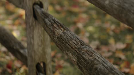 macro shot panning up the wooden fence to reveal the turning autumn leaves on a farm in gatineau, quebec