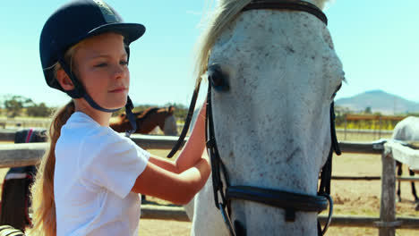 girl grooming the horse in the ranch 4k