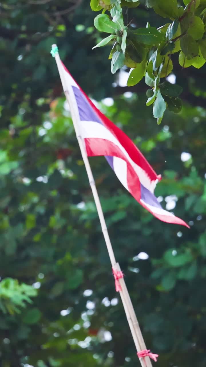Una composizione verticale che mostra la bandiera thailandese che sventola su un'asta davanti a fitti alberi verdi