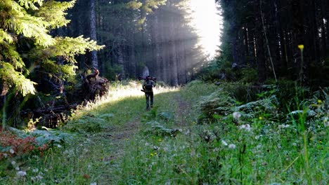 Hunter-hikes-up-a-trail-with-a-bow-green-green-sunlit-forest-trail