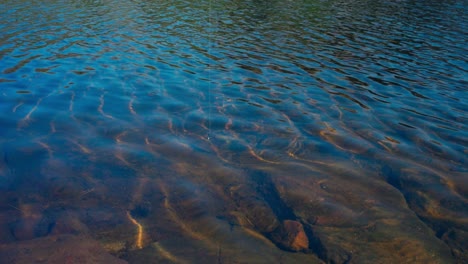 catching fish in clear lake with fishing line