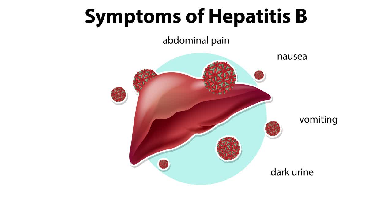 Zeigt Symptome von Hepatitis B im Zeitverlauf