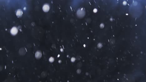 january snowfall as camera pans from the left to the right in slow-motion with background trees