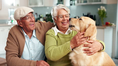 an older couple shares a loving moment with their golden retriever at home