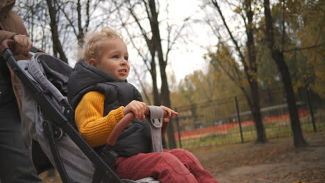 cute little boy is sitting in baby stroller rolling by mother or nanny family walk in park at autumn day breathing fresh air and resting at nature