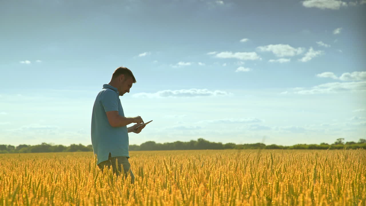 Operatore agricolo tocca l'iPad nel campo di raccolta. Uomo che usa il tablet nel grano