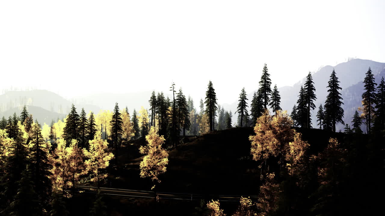 Vibrant autumn forest landscape showcasing colorful trees and mountains