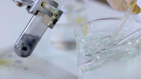 chemical reaction producing gas bubbles in test tube