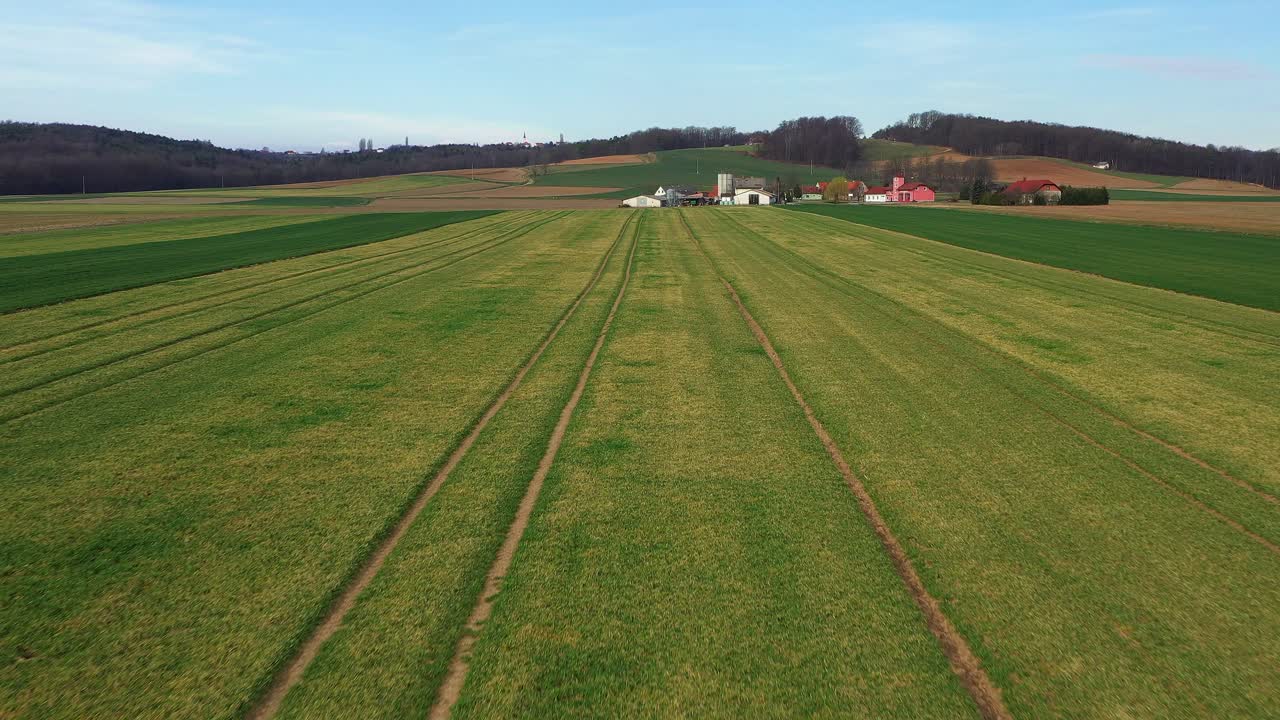 Flug über ein Weizenfeld in Richtung des kleinen Dorfes Desenci mit einer Feuerwache im ländlichen Slowenien; Landwirtschaft und Landschaft, Ackerland der Pannonischen Tiefebene