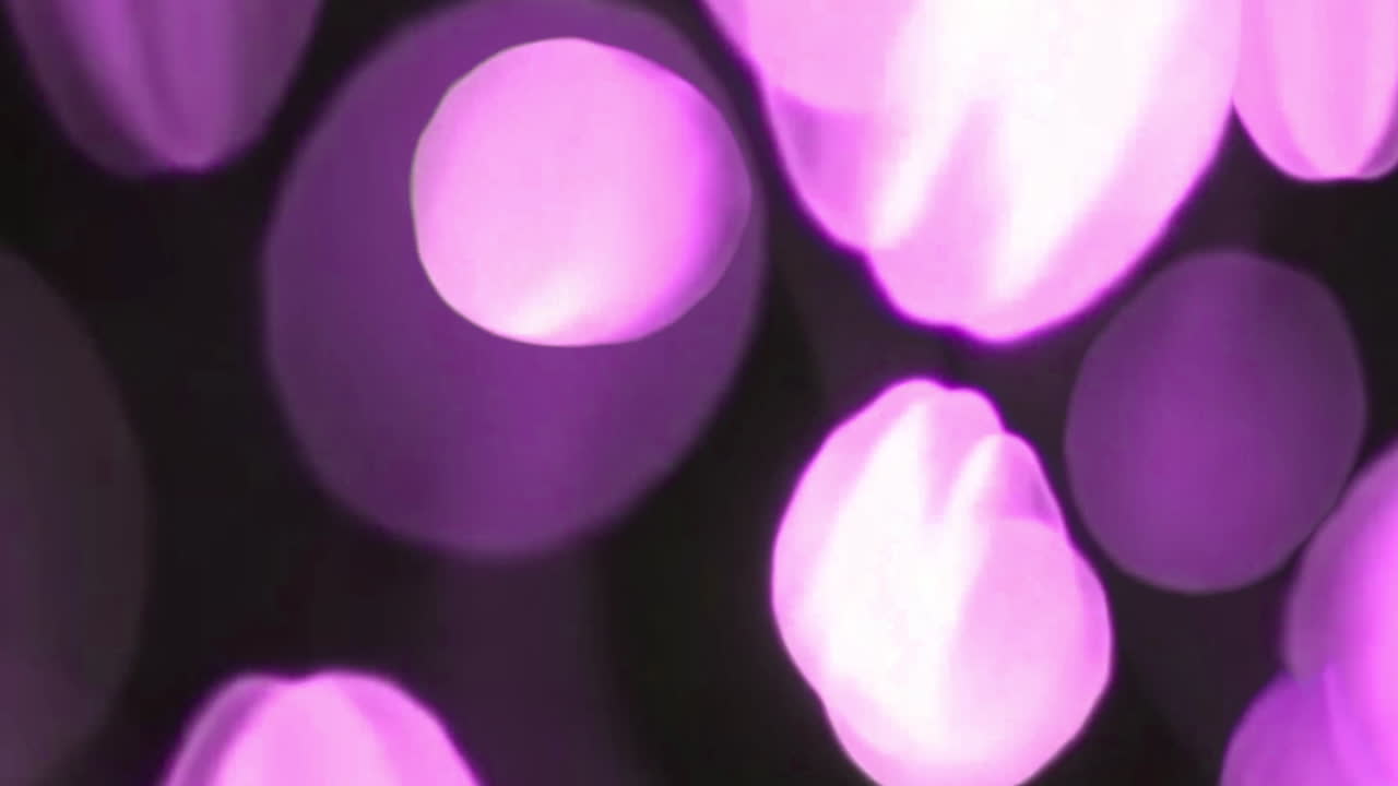 Luci bokeh viola vibranti che scintillano su sfondo nero