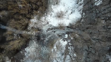 Un-Camino-En-El-Bosque-Está-Congelado-Debido-Al-Desbordamiento-De-Un-Río