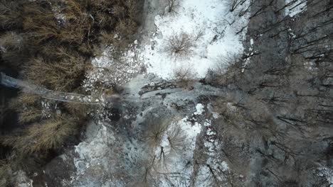 un camino en el bosque está congelado debido al desbordamiento de un río
