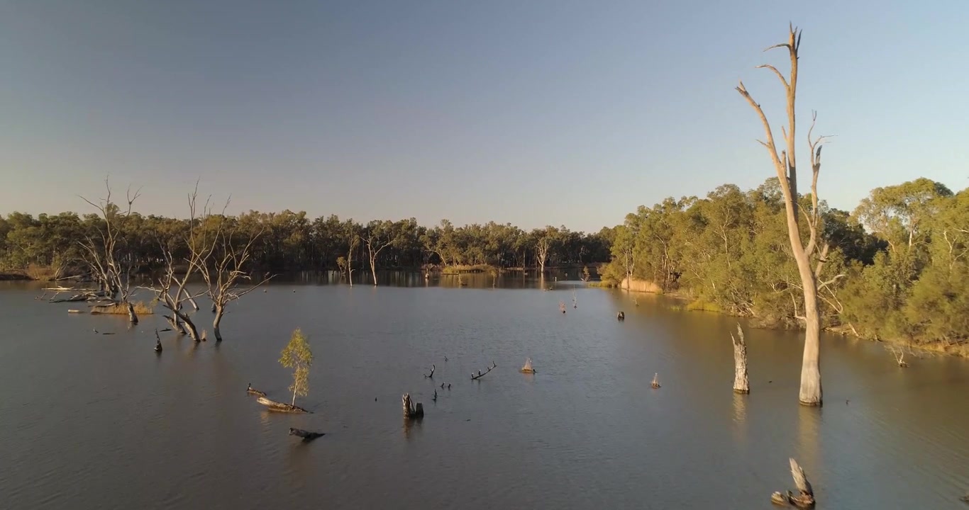 Flygbild över våtmarker, Mildura, Victoria, Australien