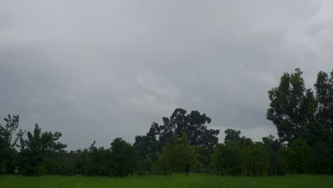 timelaps of cloudes with moving trees wide shot