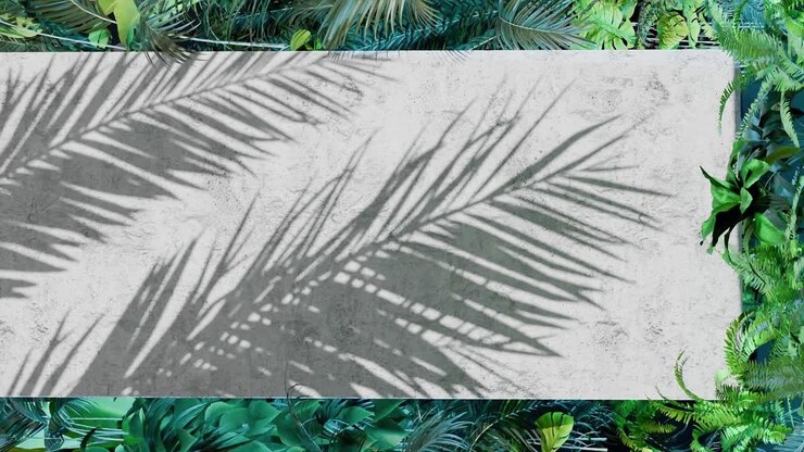 Shadow of tropical palm leaves on white concrete wall with green jungle foliage frame. Nature inspired template background. Summer vacation and exotic botanical concept. Design for banner. vertical