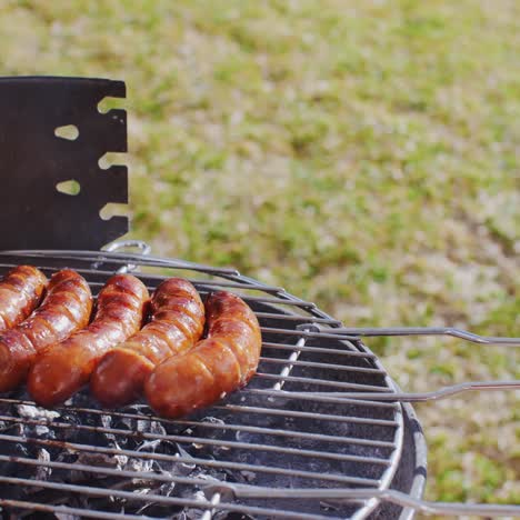 Dicke-Saftige-Würstchen-Grillen-Am-Feuer