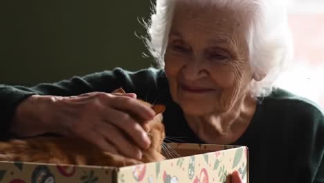 heartwarming moments: a senior woman delights in the joy of her feline companion snuggled in a colorful box