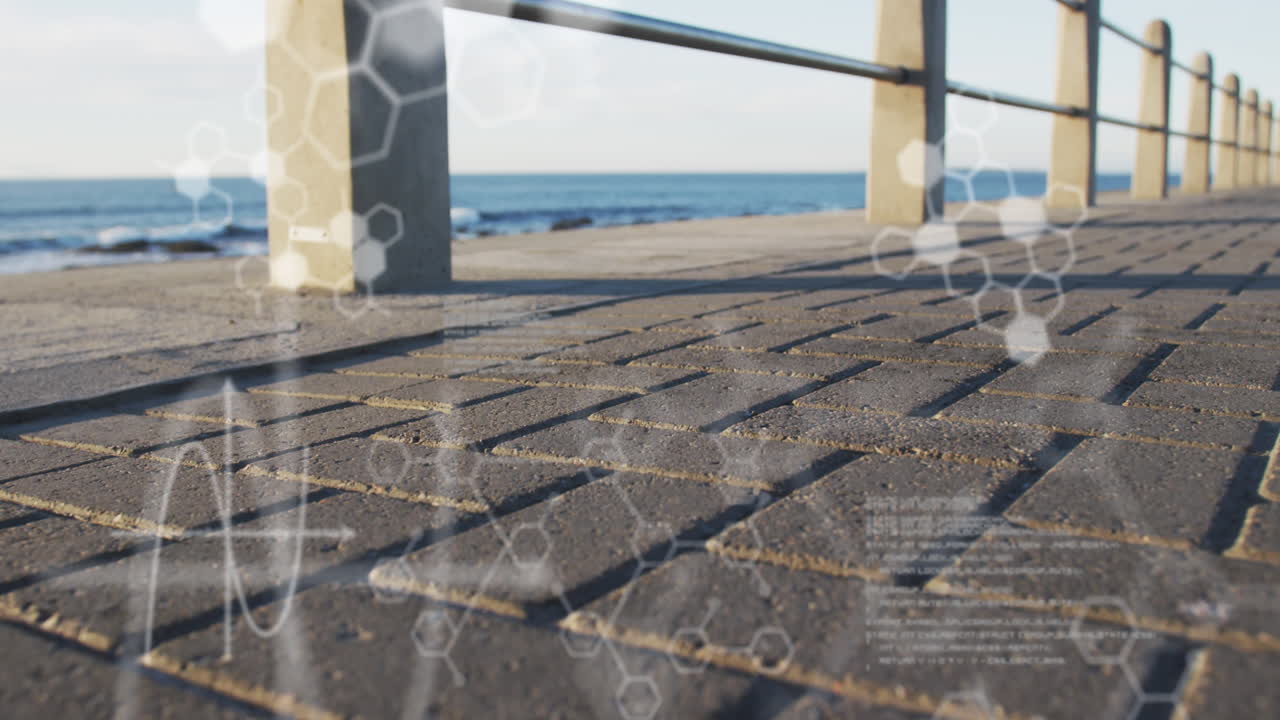 산책로에서 달리는 두 인종의 여성에 대한 데이터 처리의 애니메이션