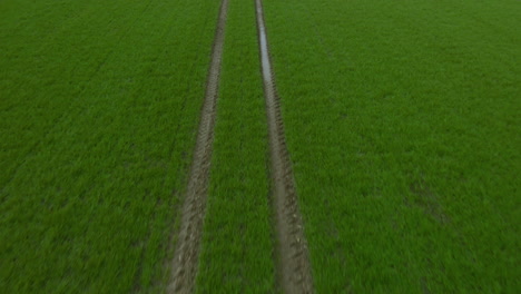 Campos-Verdes-De-Primer-Plano-En-Los-Que-Hay-Marcas-De-Rodadura,-Agua-Se-Encuentra-En-Los-Surcos-De-Las-Marcas-De-Las-Ruedas