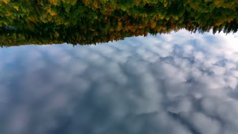 A-single-brown-and-yellow-leaf-floats-on-the-surface-of-a-still,-blue-lake,-surrounded-by-lush-green-reeds-under-a-blue-sky-with-clouds