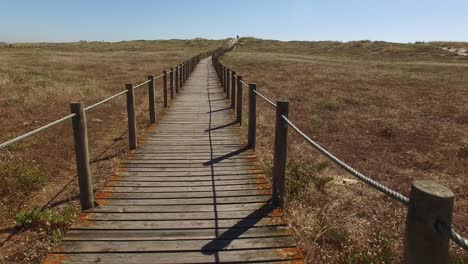 walkway to the beach over dunes