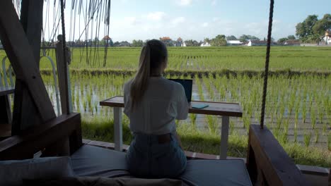 a young european girl in a blue dress remotely online working on laptop and looking into the screen on the backyard with green plants