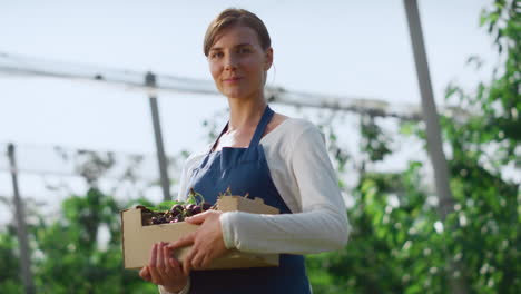 Woman-agronomist-holding-berry-box-at-sunny-modern-agriculture-plantation-.