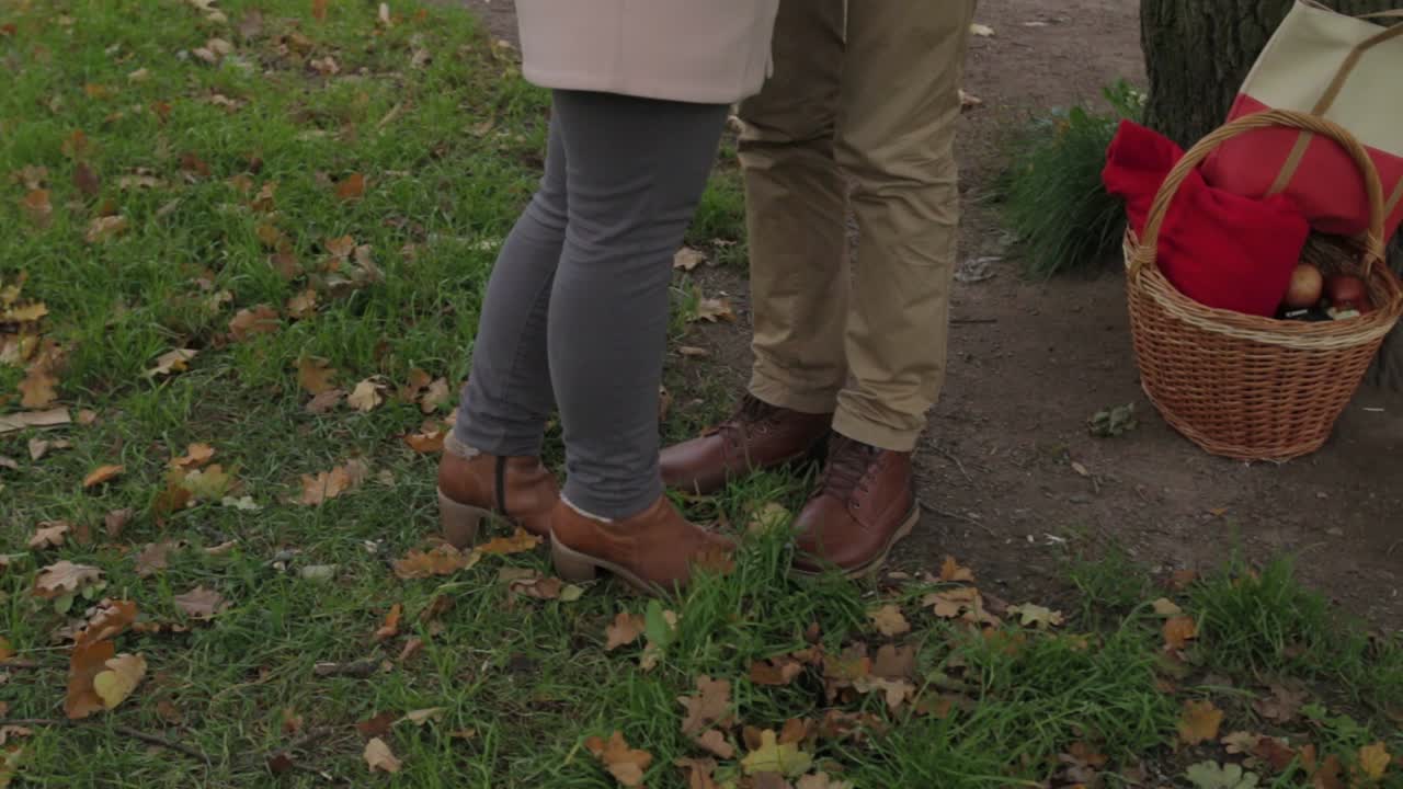Couple en pique-nique d'automne