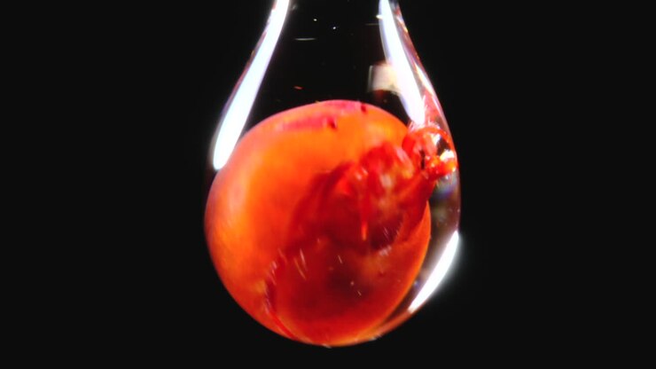 Vivid Red Marine Life Suspended in a Liquid Drop