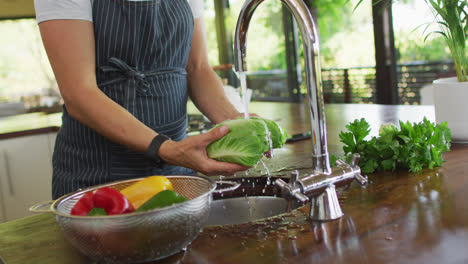 sección media de una mujer caucásica embarazada con delantal, lavando verduras en la cocina