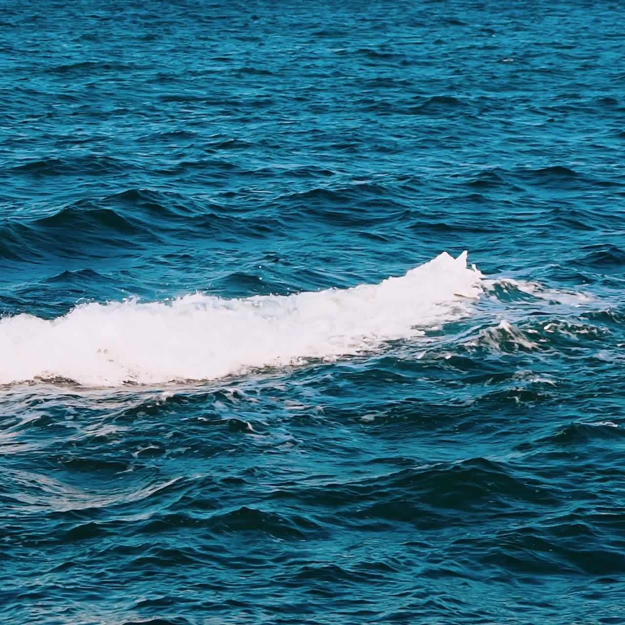 바다 파도가 가까이