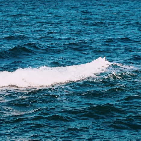sea wave close up