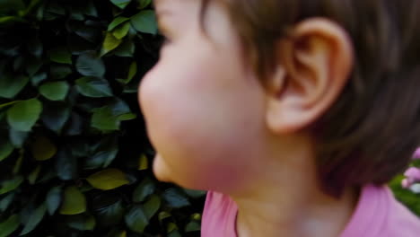 child hiding behind a bush in a garden