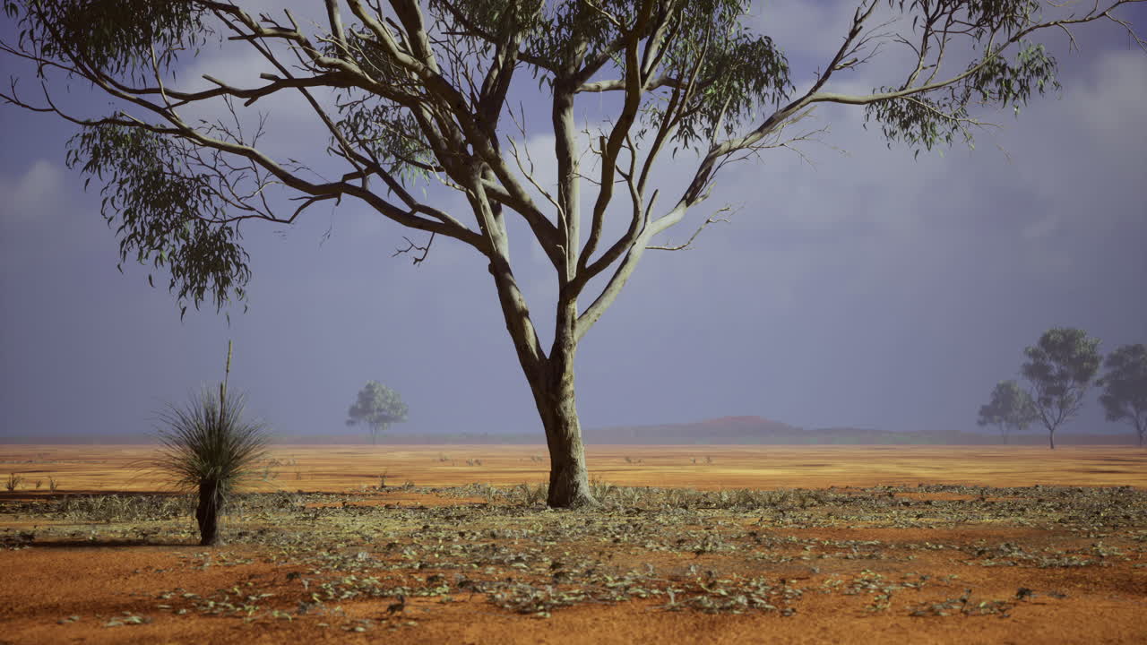 Vibrant australian landscape showcasing a solitary tree under a cloudy sky