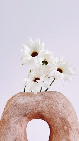 white daisies in a terracotta vase