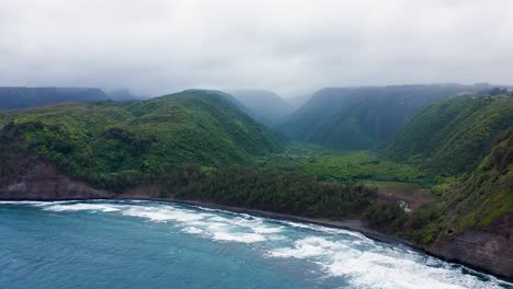 lush green cliffs and dense forest meet the rugged coastline of pololu valley, hawaii. waves crash onto the black sand shore under an overcast sky.