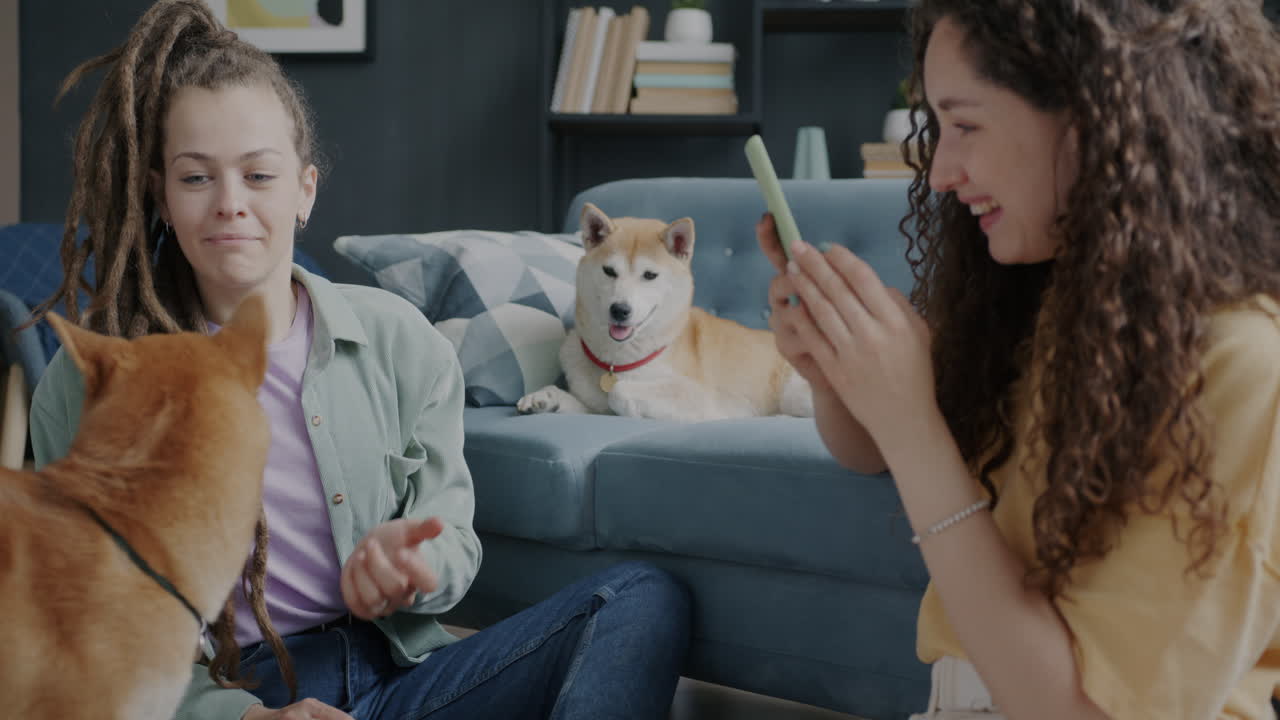 Two women playing with their dogs