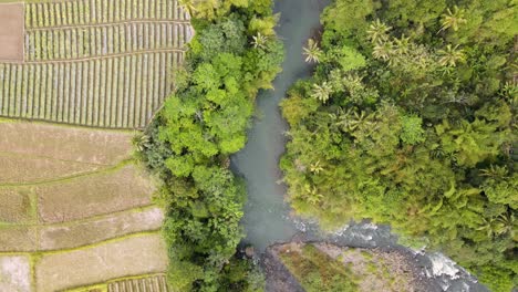 Vista-De-Arriba-Hacia-Abajo-Del-Flujo-Del-Río-En-Movimiento-Con-Rápidos