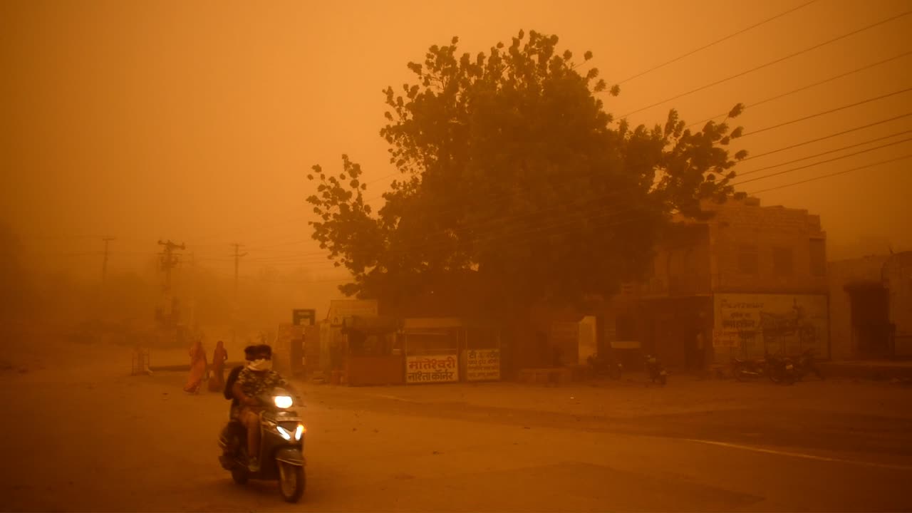 orange color in the sky and tree shaking due to heavy sandstorm