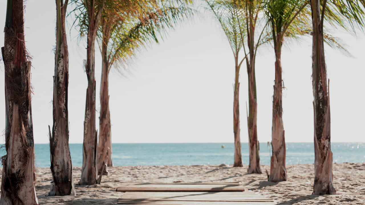 Wooden walkway surrounded by palm trees leading to a sunny beach with clear blue water
