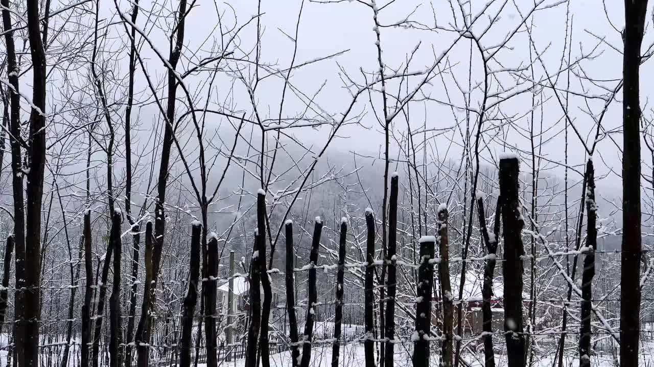 Wooden fence local material reuse in rural countryside village winter snow heavy mountain Hyrcanian forest Iran livestock cottage lifestyle freezing nature gravel road driving woods scenic landscape