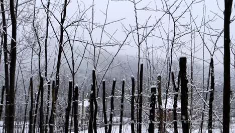 wooden fence local material reuse in rural countryside village winter snow heavy mountain hyrcanian forest iran livestock cottage lifestyle freezing nature gravel road driving woods scenic landscape