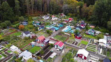 Village-Houses-With-Greenhouse-Gardens-In-Countryside-During-Autumn