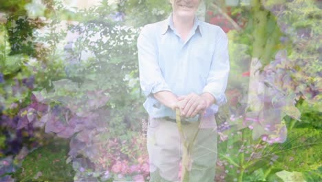 composite video of plants against caucasian senior man standing with a shovel in the garden