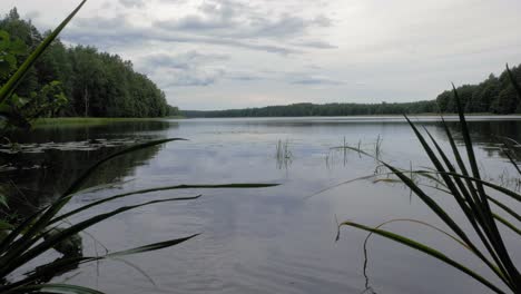 Malerischer-Und-Friedlicher-Blick-Auf-Den-Ruhigen-See-Und-Die-Landschaft-Vor-Bewölktem-Himmel-In-Prądzonka,-Bezirk-Der-Gmina-Studzienice,-Polen