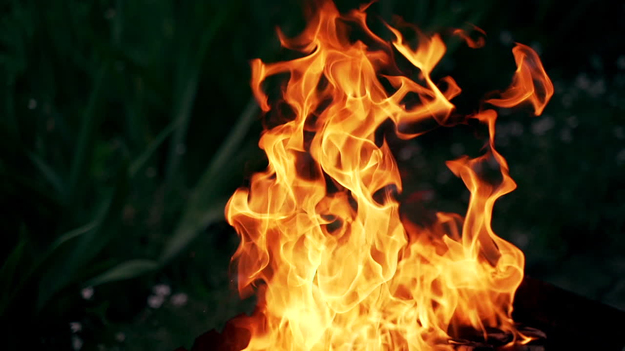 Twisting tongues of bright fire outdoors. Vivid flame from burning wood in bonfire on dark natural background. Slow motion.